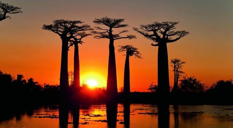 Best Time to Visit Madagascar